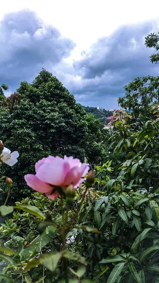 J Hostel Kandy Sri Lanka